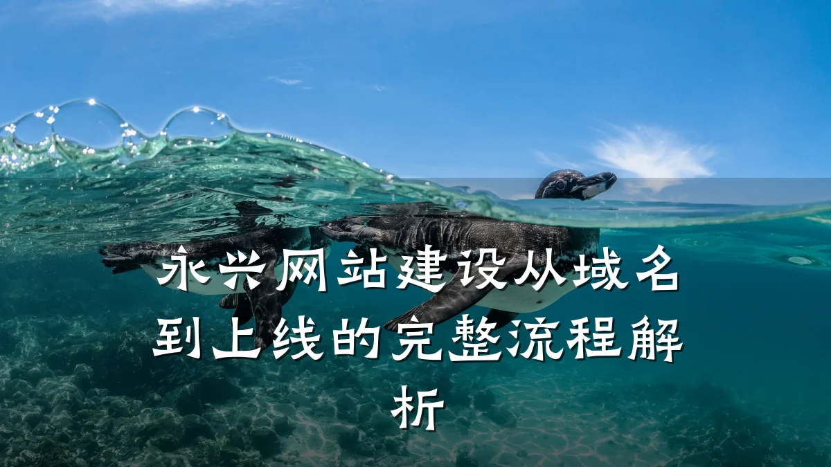 永兴网站建设从域名到上线的完整流程解析