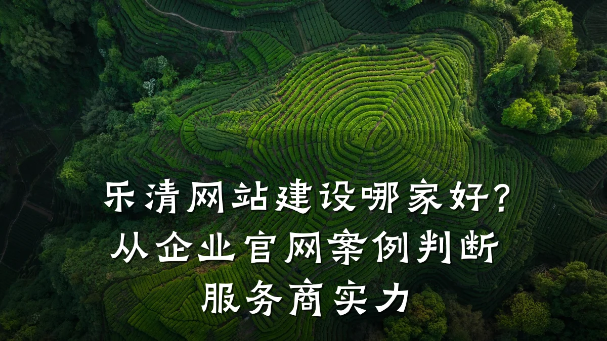 乐清网站建设哪家好?从企业官网案例判断服务商实力