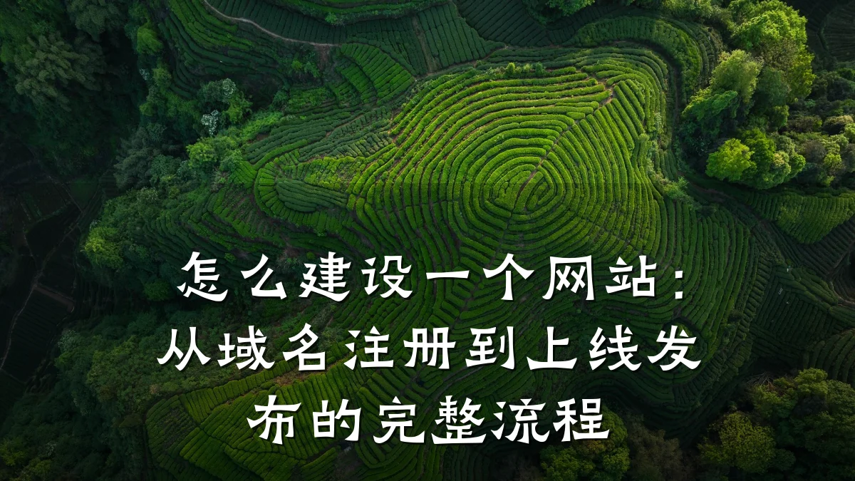 怎么建设一个网站:从域名注册到上线发布的完整流程