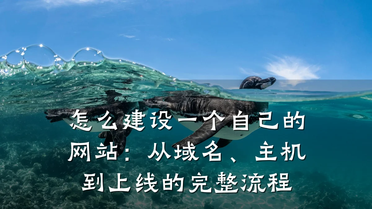 怎么建设一个自己的网站：从域名、主机到上线的完整流程