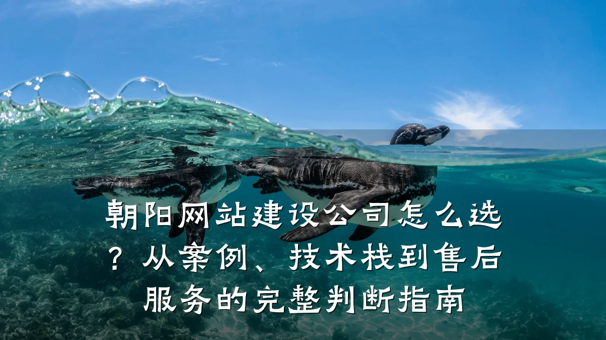 朝阳网站建设公司怎么选？从案例、技术栈到售后服务的完整判断指南