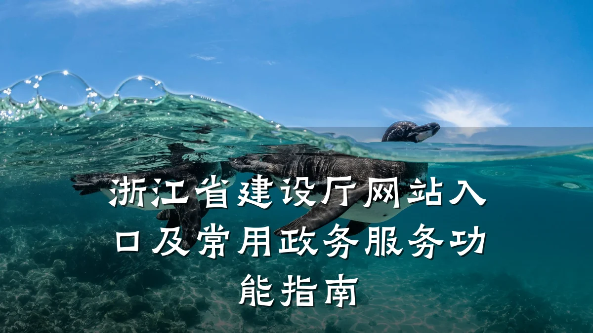 浙江省建设厅网站入口及常用政务服务功能指南