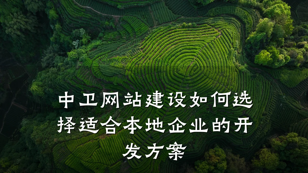 中卫网站建设如何选择适合本地企业的开发方案