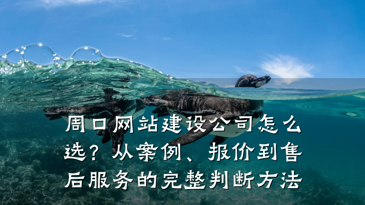 周口网站建设公司怎么选？从案例、报价到售后服务的完整判断方法