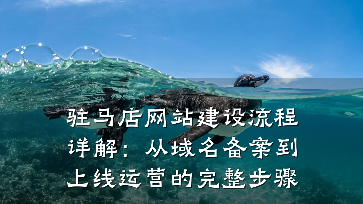 驻马店网站建设流程详解:从域名备案到上线运营的完整步骤