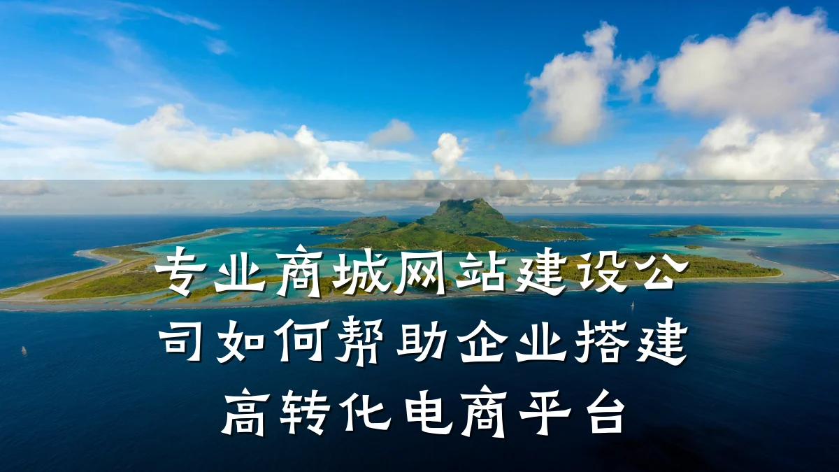 专业商城网站建设公司如何帮助企业搭建高转化电商平台