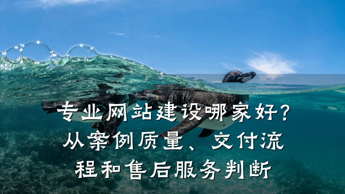 专业网站建设哪家好？从案例质量、交付流程和售后服务判断