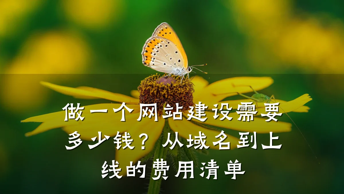 做一个网站建设需要多少钱?从域名到上线的费用清单