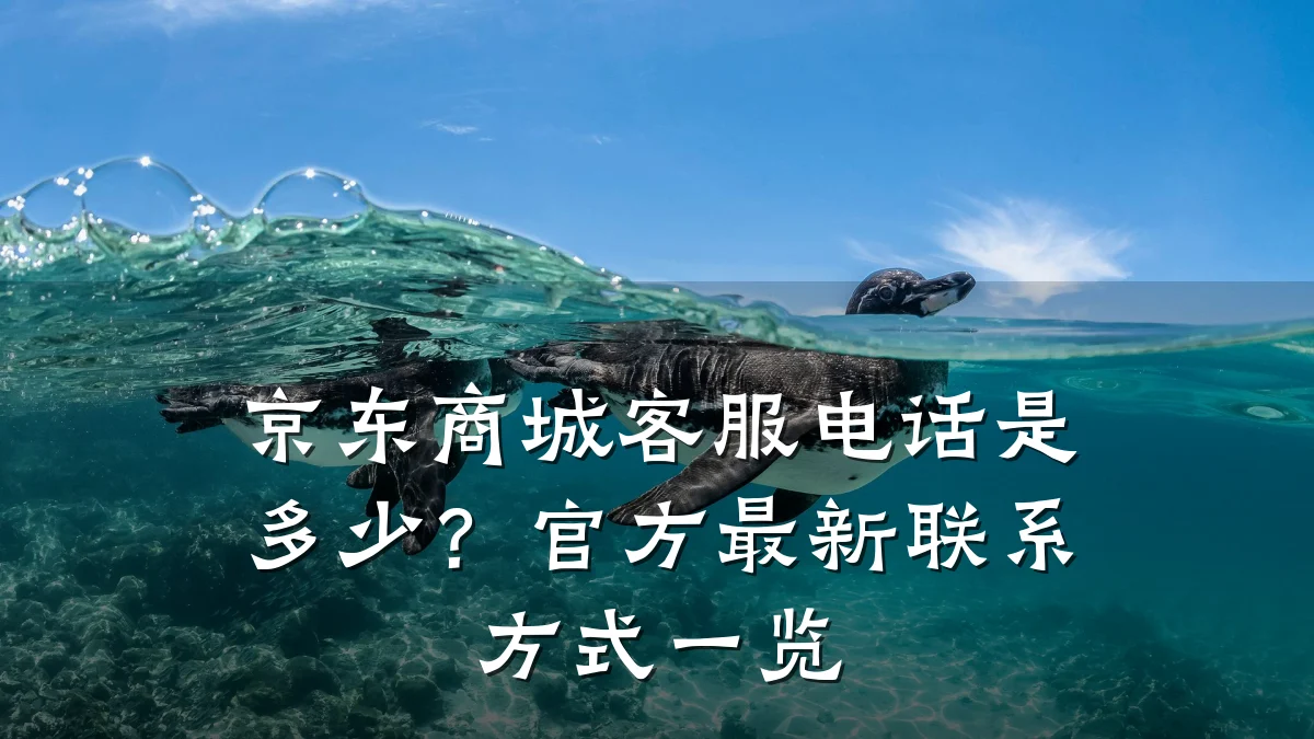 京东商城客服电话是多少?官方最新联系方式一览