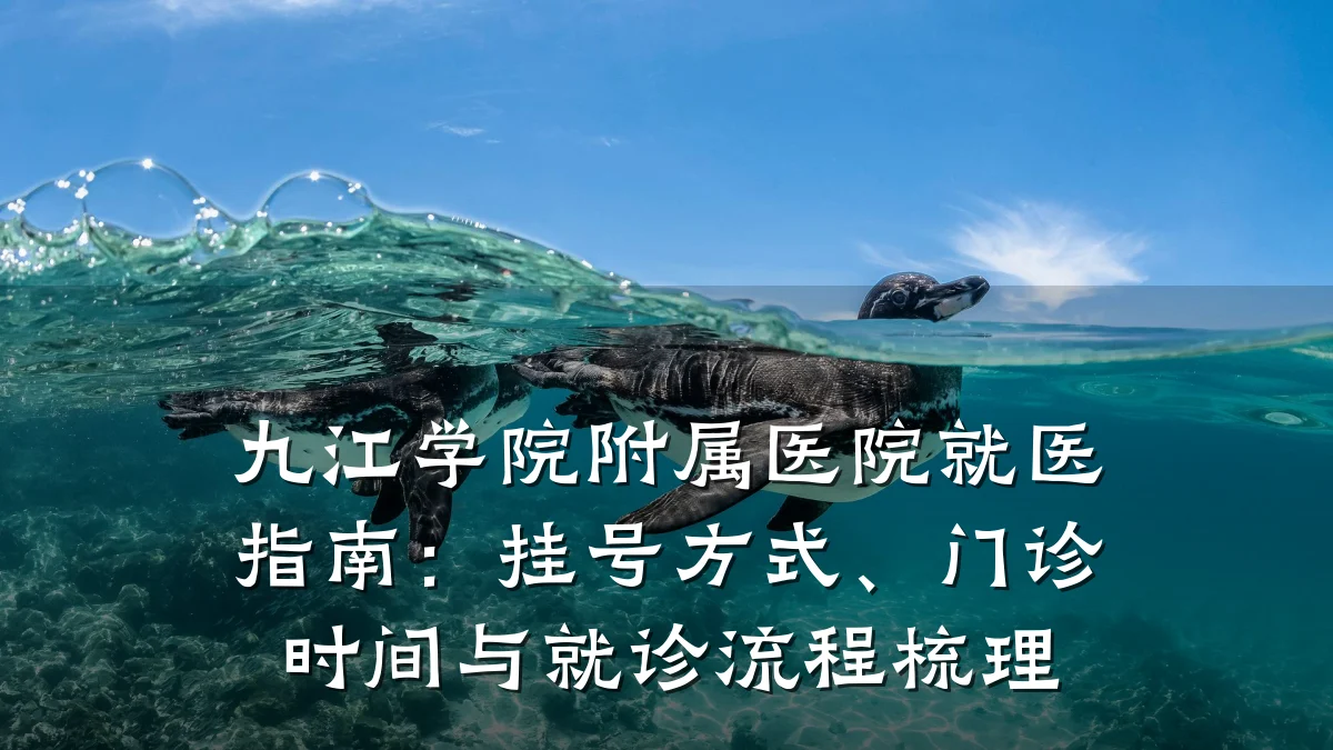 九江学院附属医院就医指南：挂号方式、门诊时间与就诊流程梳理