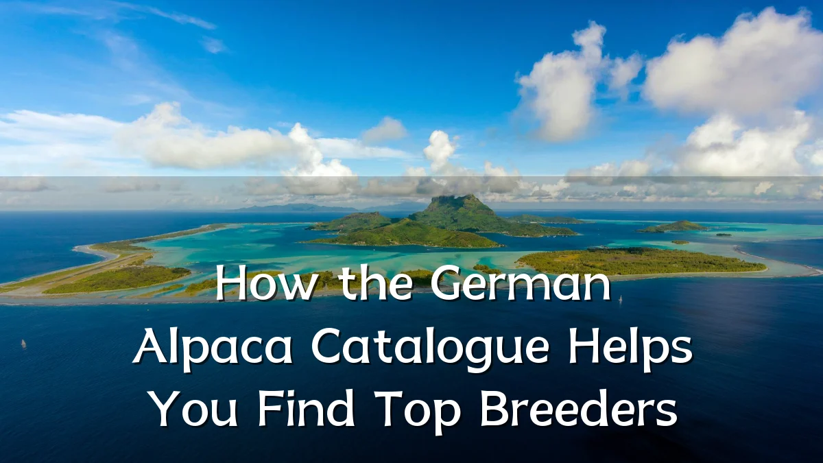 How the German Alpaca Catalogue Helps You Find Top Breeders