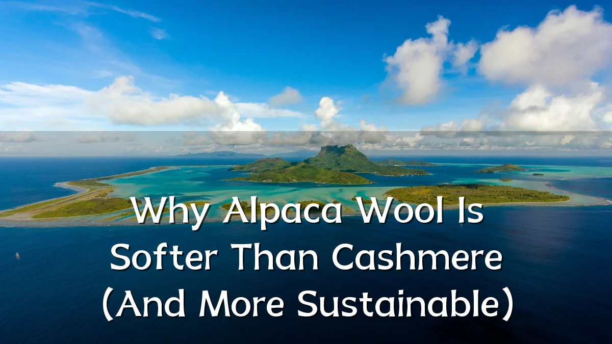 Why Alpaca Wool Is Softer Than Cashmere (And More Sustainable)