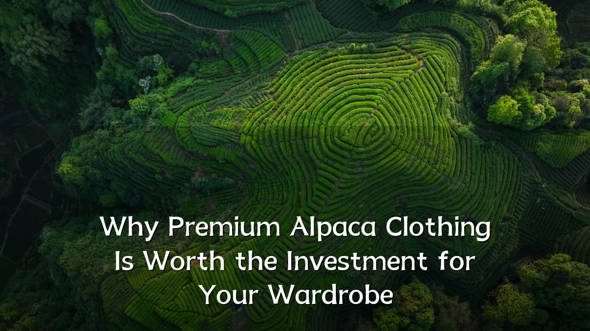 Why Premium Alpaca Clothing Is Worth the Investment for Your Wardrobe