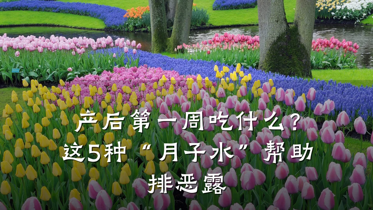 产后第一周吃什么？这5种“月子水”帮助排恶露