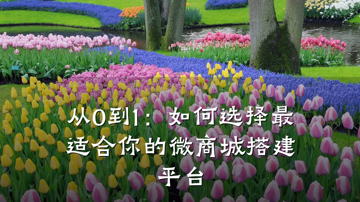 从0到1：如何选择最适合你的微商城搭建平台