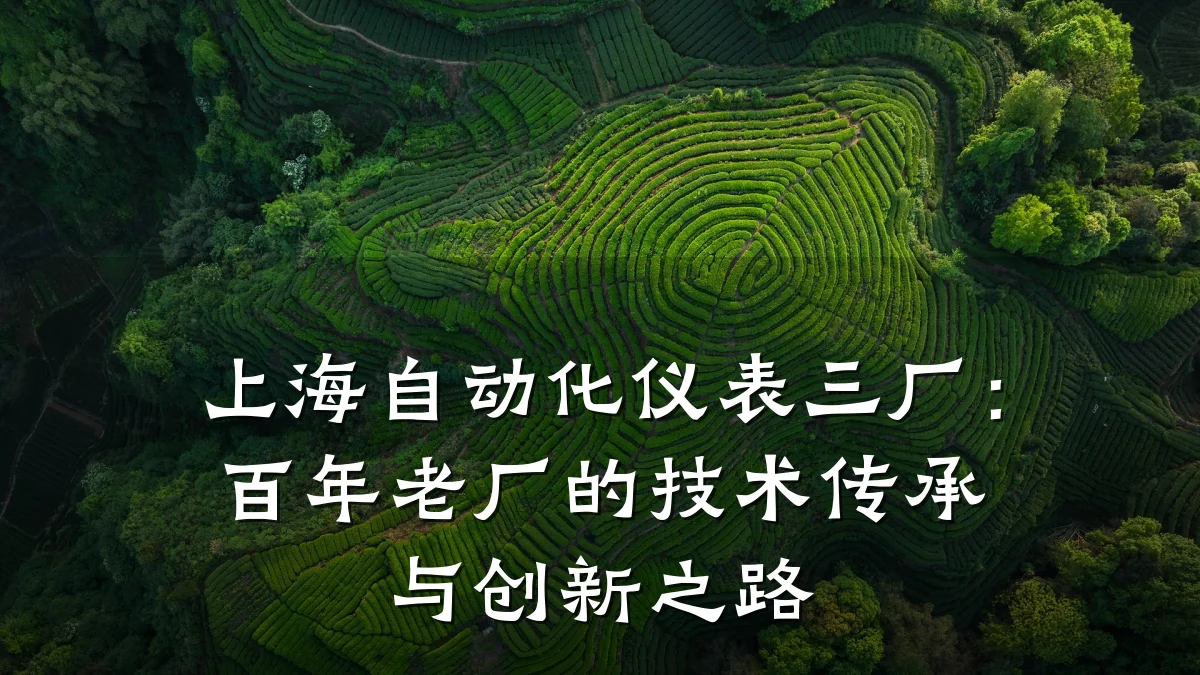 上海自动化仪表三厂：百年老厂的技术传承与创新之路