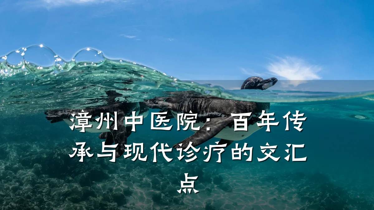 漳州中医院：百年传承与现代诊疗的交汇点
