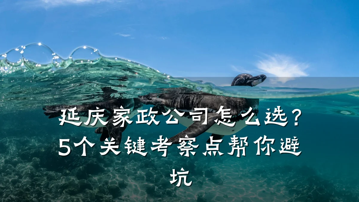 延庆家政公司怎么选？5个关键考察点帮你避坑