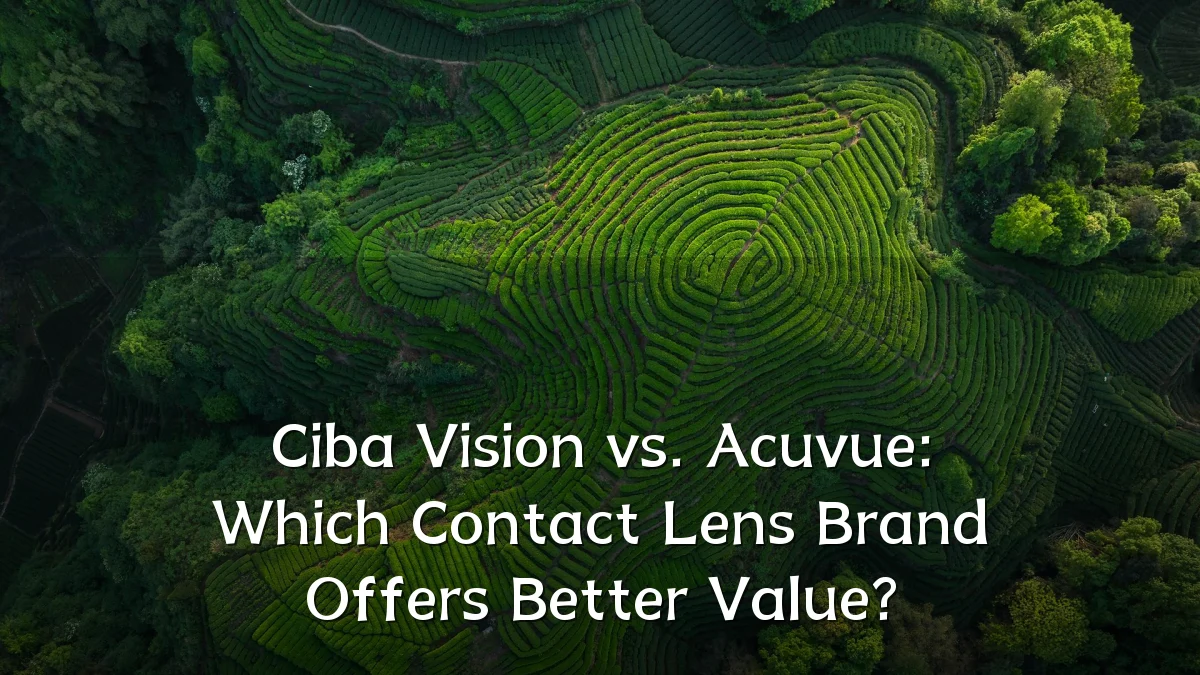 Ciba Vision vs. Acuvue: Which Contact Lens Brand Offers Better Value?