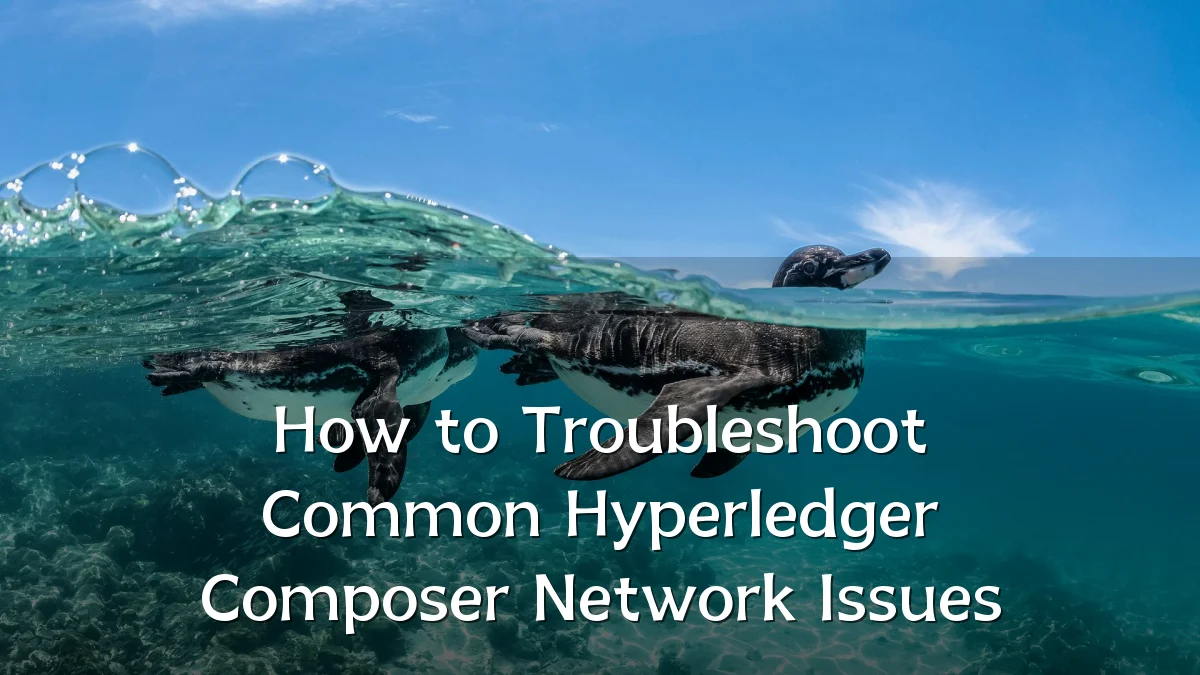 How to Troubleshoot Common Hyperledger Composer Network Issues