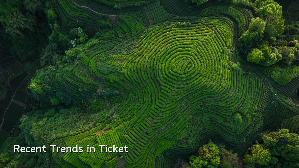 Recent Trends in Ticket