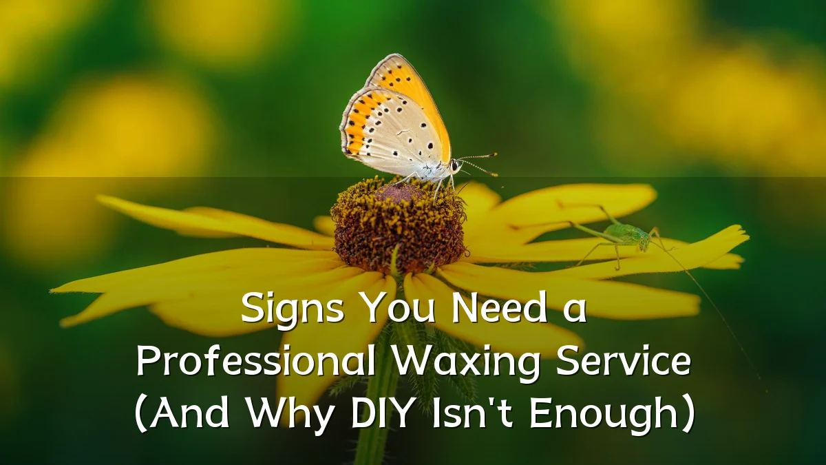 Signs You Need a Professional Waxing Service (And Why DIY Isn't Enough)