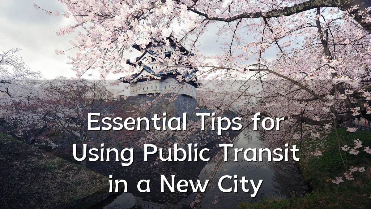Essential Tips for Using Public Transit in a New City