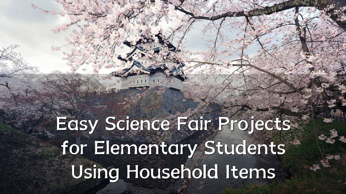 Easy Science Fair Projects for Elementary Students Using Household Items