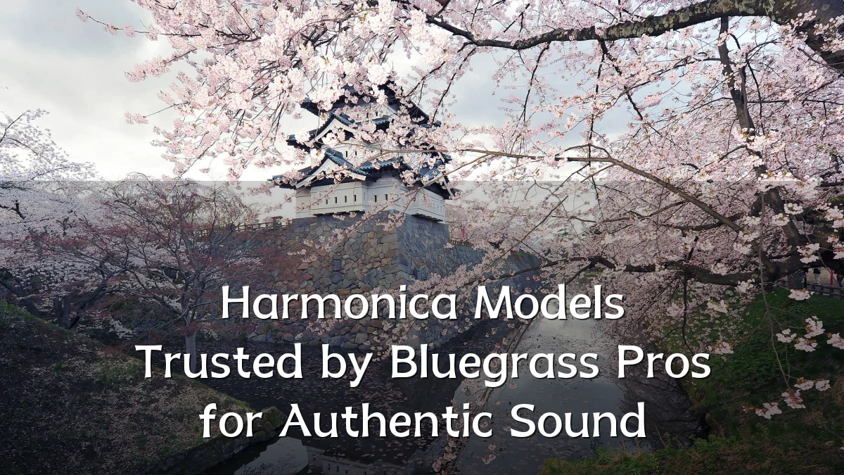 Harmonica Models Trusted by Bluegrass Pros for Authentic Sound