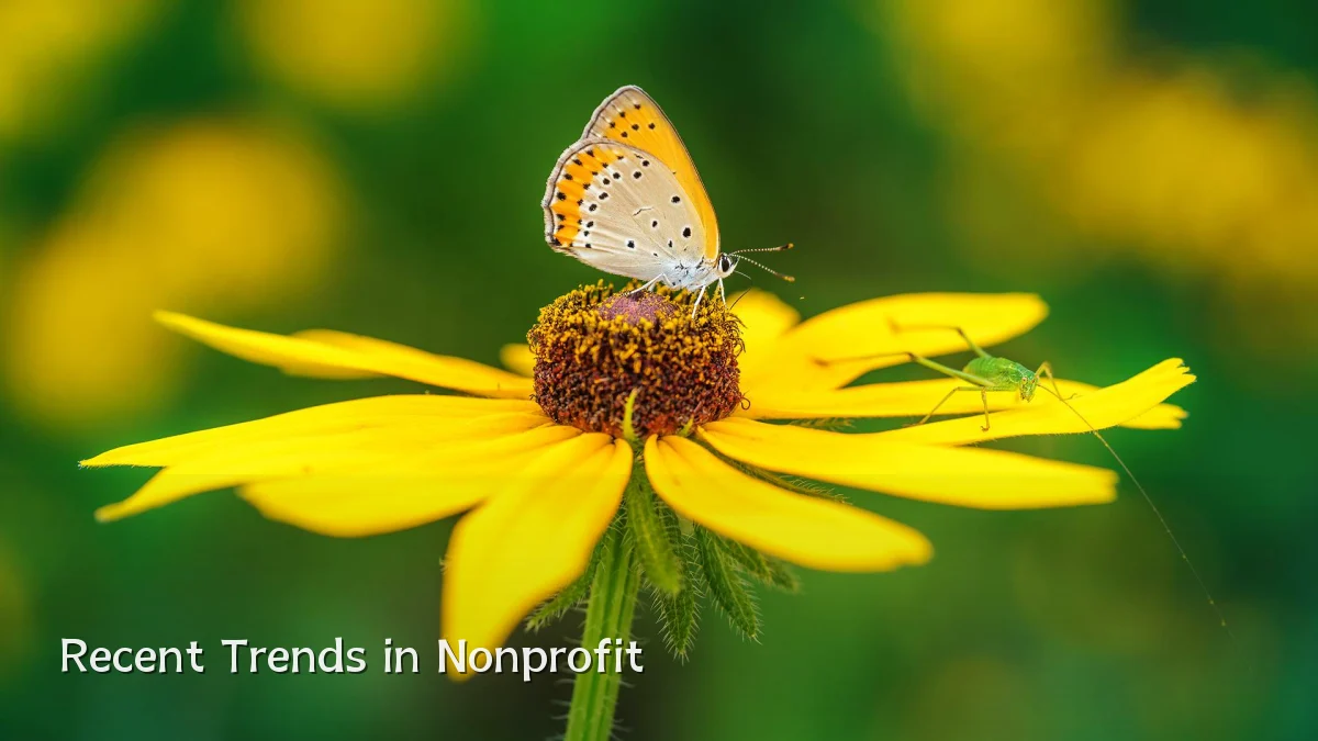 Recent Trends in Nonprofit
