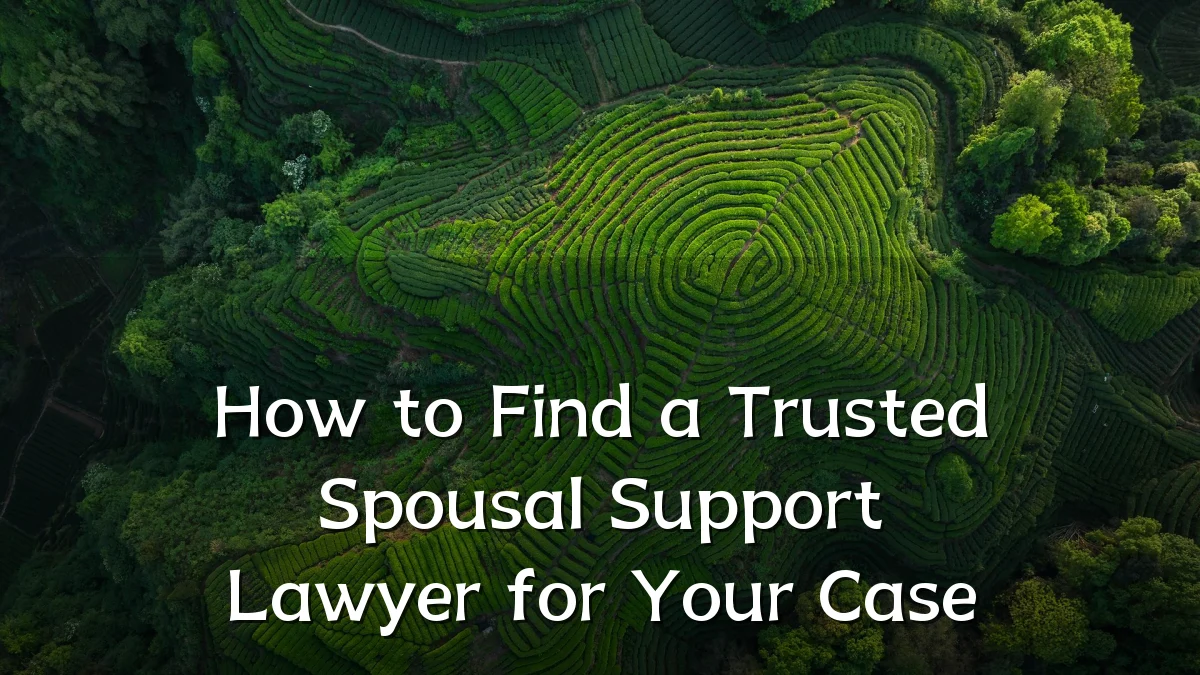 How to Find a Trusted Spousal Support Lawyer for Your Case