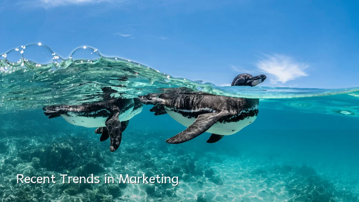 Recent Trends in Marketing