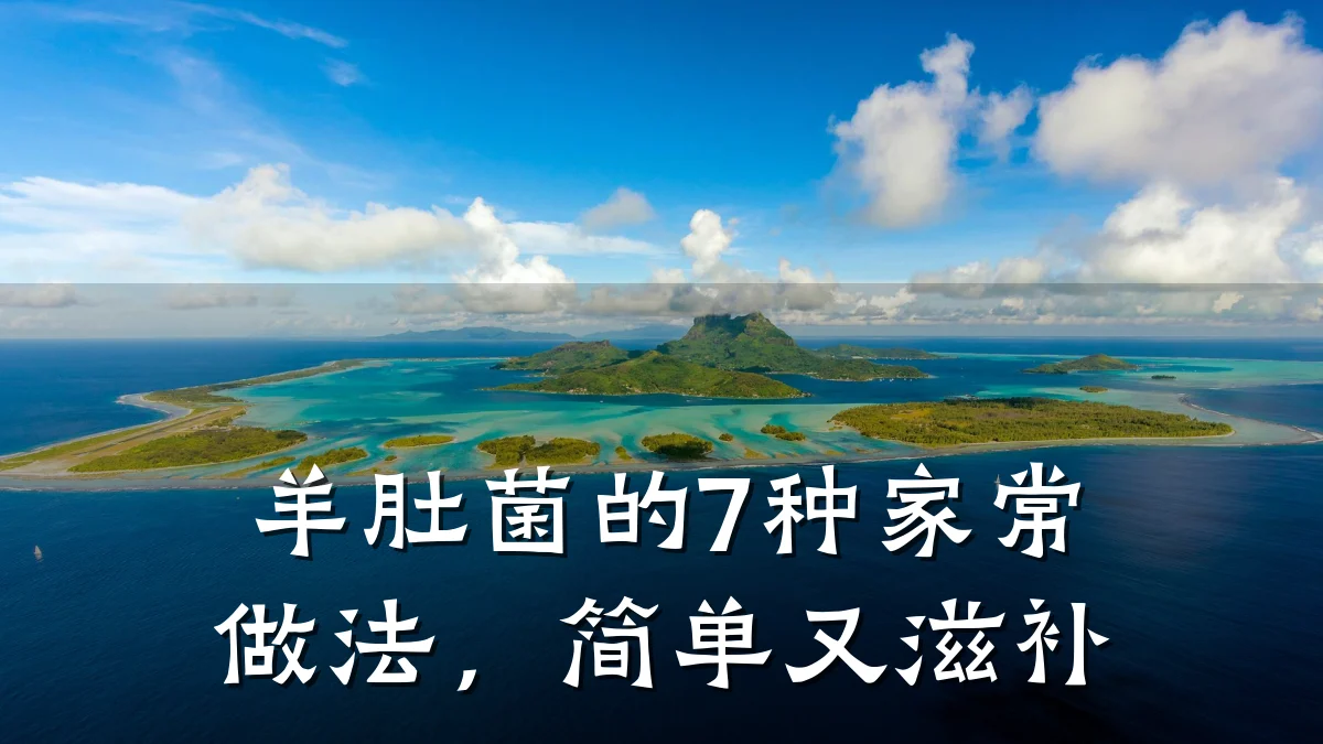 羊肚菌的7种家常做法,简单又滋补