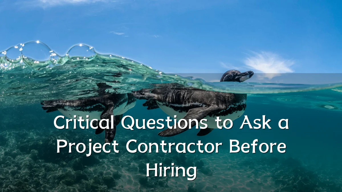 Critical Questions to Ask a Project Contractor Before Hiring