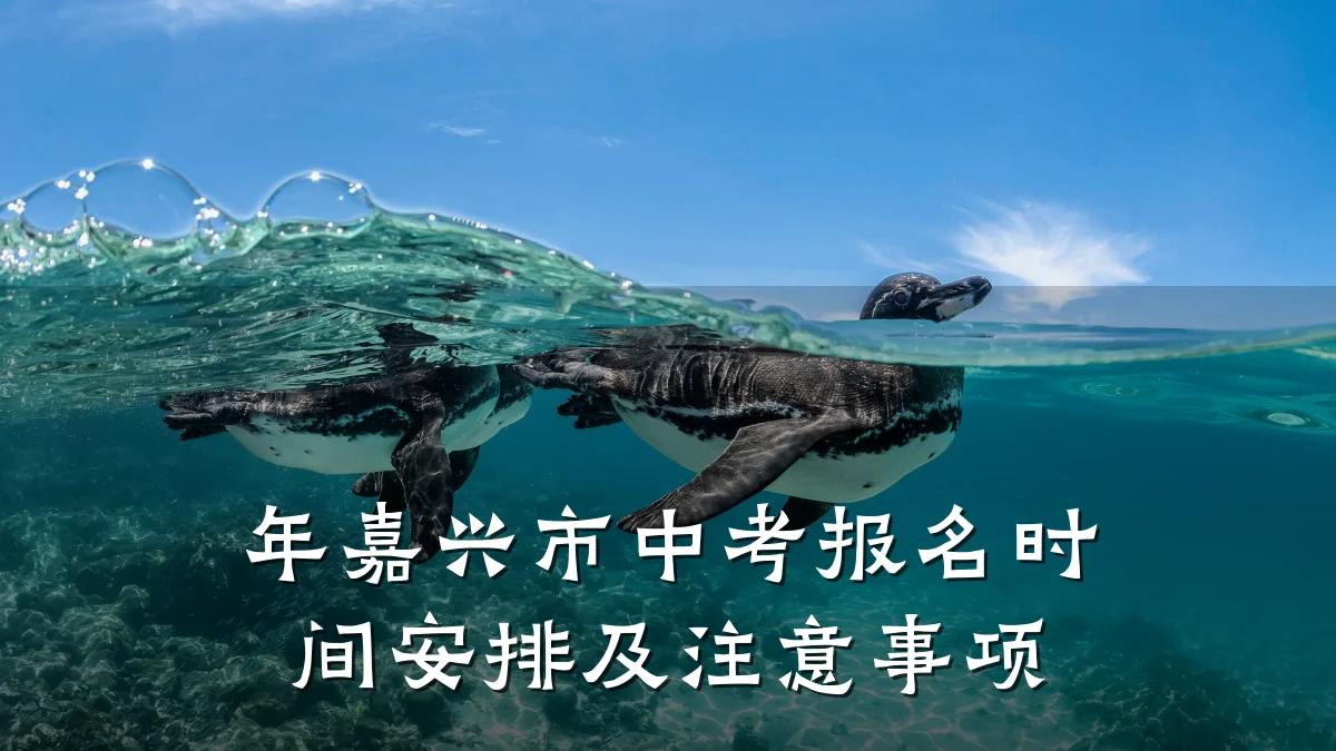 年嘉兴市中考报名时间安排及注意事项
