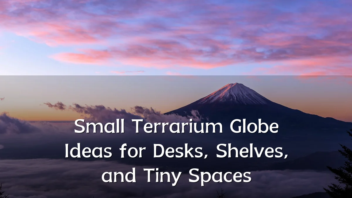 Small Terrarium Globe Ideas for Desks, Shelves, and Tiny Spaces