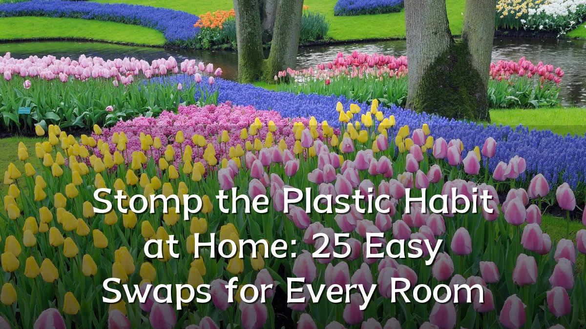 Stomp the Plastic Habit at Home: 25 Easy Swaps for Every Room